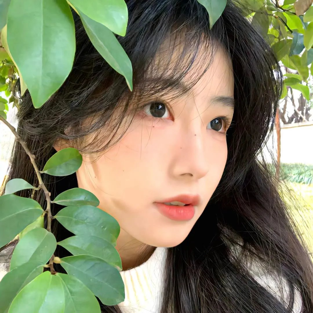 少主好凶我好爱第二季 在线观看